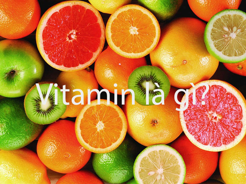 Vitamin là gì?